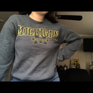 michigan sweatshirt